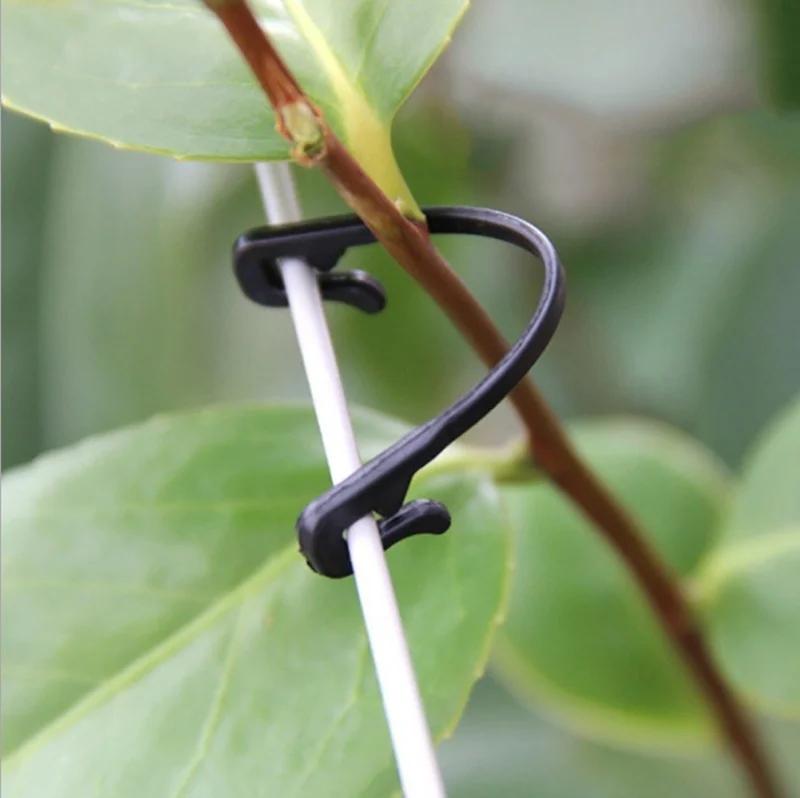 50pcs Garden Plants Bundled Buckle Grape Vines Vegetable Strapping Clips Greenhouse Vegetables Stems Fixing Ring Fasteners Tool