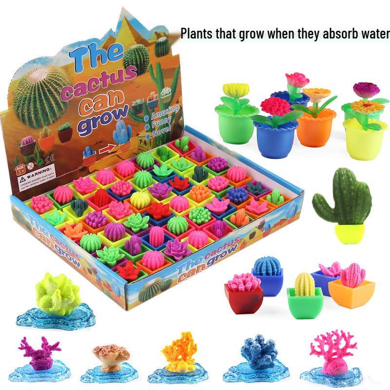 Water-Expanding Cactus Succulent Toys - Creative, Unique & Novel Gifts for Kids