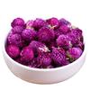 Tè ai Fiori di Gomphrena Globosa 100% Naturale Bevanda Biologica Salutare
