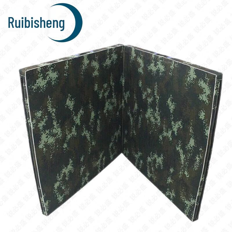 Rebesheng Folding Gymnastics Mat