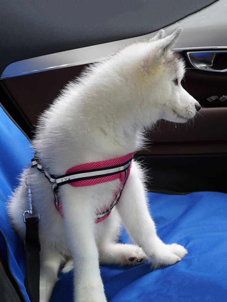 1pc-Pet car seat cushion, pet specific car seat, anti fouling pad, universal seat cushion for small, medium, and large dogs