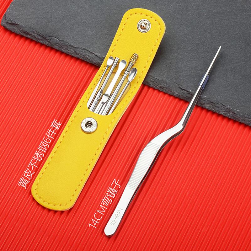 Stainless Steel Earwax Remover Kit