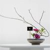 10PCS Reusable Greenhouse  Marker Garden Tools Plants Tags Classification Marker Wooden Chalkboard
