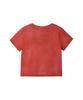 PHYPS MOTORCYCLE Womens Damage Washed Wing Logo Crop Tee Red