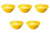 Set of 5 Yellow Glazed Lidded Bowls x Simmered Food Arita Setomonohonpo [13.6 7.8 cm] Bowls, Ware,