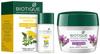 Biotique Bio Saffron Dew Youthful Nourishing Day Cream for All Skin Types, 175g And Dandelion Visibly Ageless Serum, 40 Ml