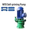WFB Corrosion-Resistant Vertical Sealless Self-Priming Control Pump for Large Suction Lift and Sewage Discharge