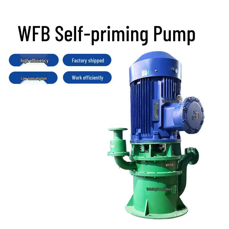 WFB Corrosion-Resistant Vertical Sealless Self-Priming Control Pump for Large Suction Lift and Sewage Discharge
