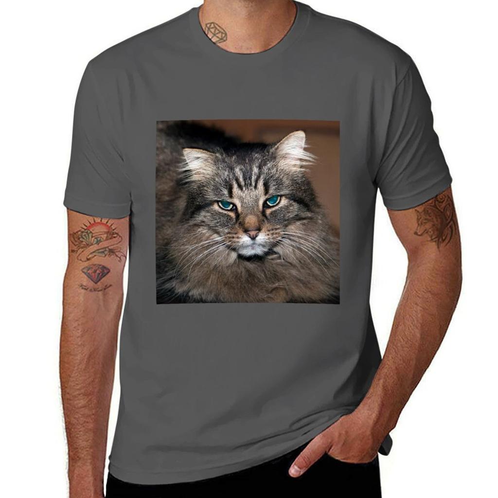 Tiggy The Cinema Museum Cat Tshirt Simple Casual Short Sleeve Tee Tshirt