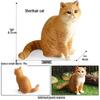 Animal Model Set: Lion, Tiger, Elephant, Panda, Giraffe, Hippo, Rhino, Sheep