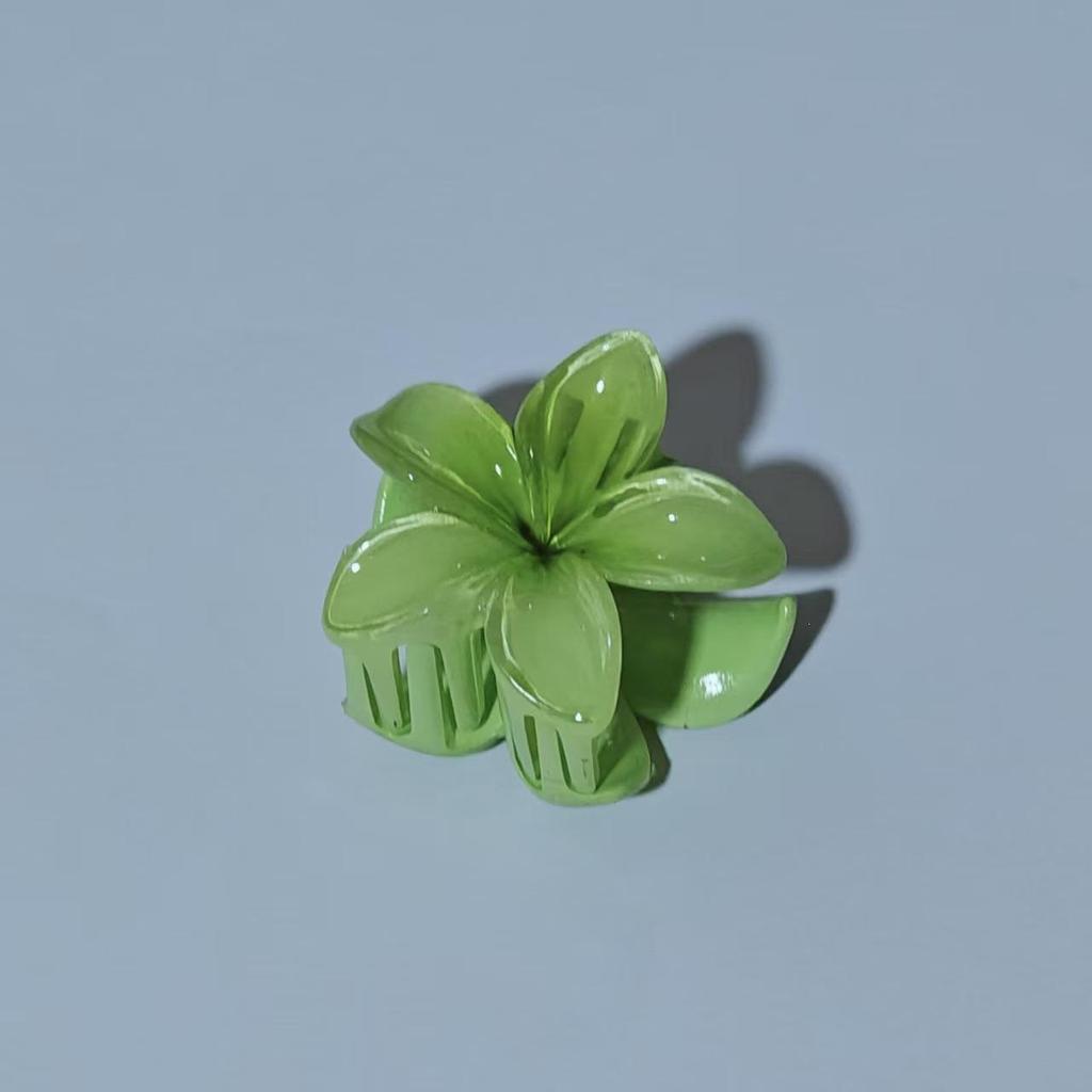 Vintage Damen Mehrfarbige Frangipani Fee Haarspange