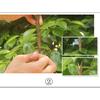 Garden Tools Grafting Machine Tree Grafting Tools Secateurs Scissors Grafting KIT Cutting Pruner