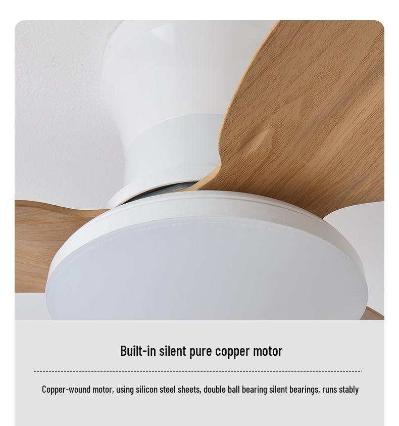 2025 Nordic Ceiling Fan Light: Variable Frequency, Compact Design, Suitable for Bedroom - Meets Japanese & American Standards