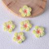 Frangipani Harzblume DIY Schmuck: Schlüsselanhänger, Anhänger, Haarspangen und Aufnäher