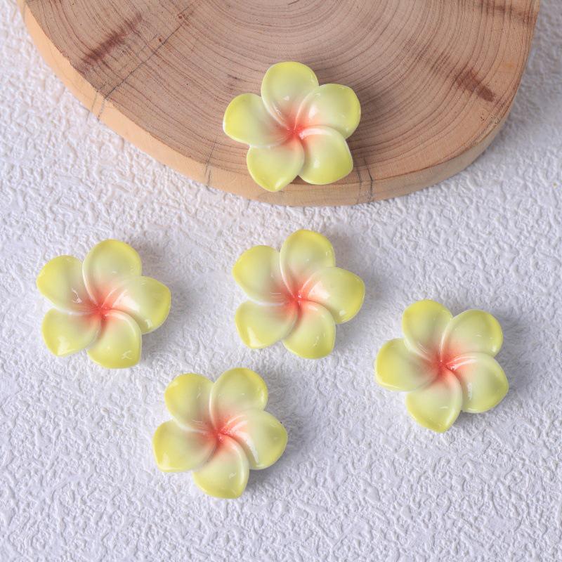Frangipani Harzblume DIY Schmuck: Schlüsselanhänger, Anhänger, Haarspangen und Aufnäher
