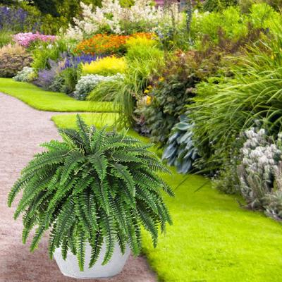 Artificial Fern Plant Arrangement Decoration Green Lifelike Leaves for Party Wedding