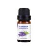 Lavender, Tea Tree, Rose, Sweet Orange & Rosemary Essential Oil for Face Massage & Aromatherapy