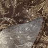 Women's Elastic Waist Paisley Print Chiffon Maxi Skirt Flowy A Line Long Skirt