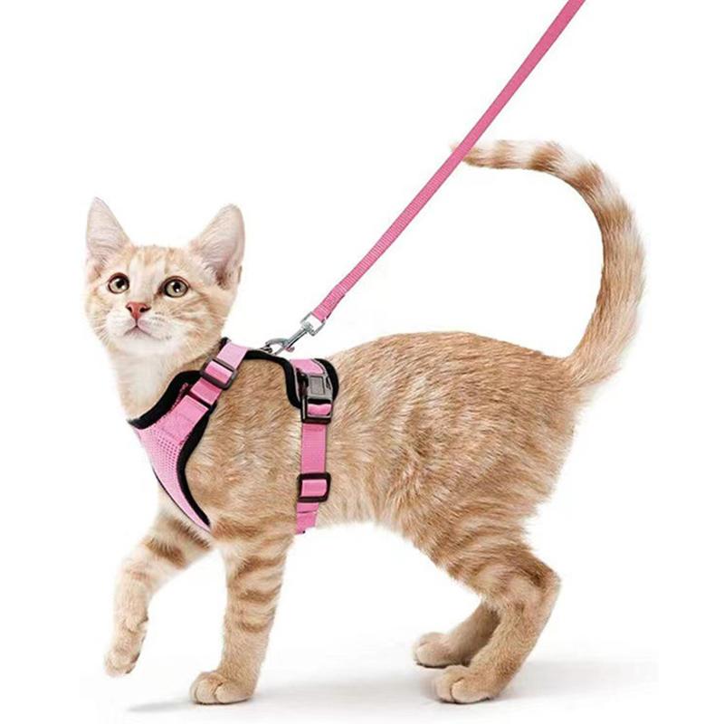 Welpen-Mesh-Set für kleine Katzen, Geschirr und Leine, verstellbare Weste, fluchtsicher für Haustier, Kätzchen, einfache Kontrolle, reflektierendes Hundegeschirr