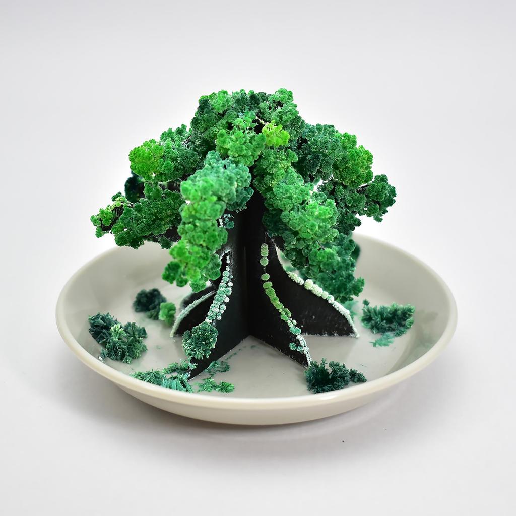 Chatani Leafy Tabletop Bonsai, H8 X W12 X D12cm, 39-031 [FunScience], Made In Kyoto, Japan