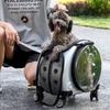 Transparent Space Capsule Pet Carrier Backpack with Wheels