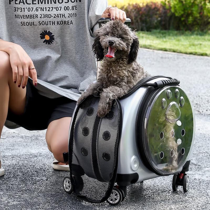 Transparent Space Capsule Pet Carrier Backpack with Wheels