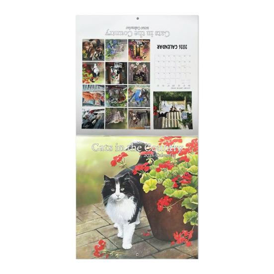 Kočky na venkově 2026 Kalendář 12 měsíců Leden až Prosinec Měsíční Týdenní Plánovač