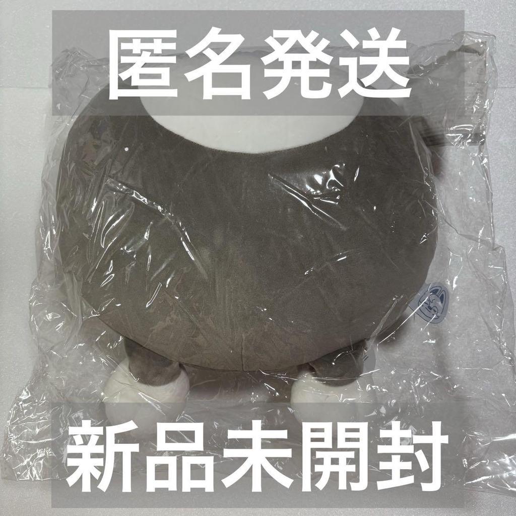 [USED] Stray Kids Wolf Chan Bang Chan Hip Cushion