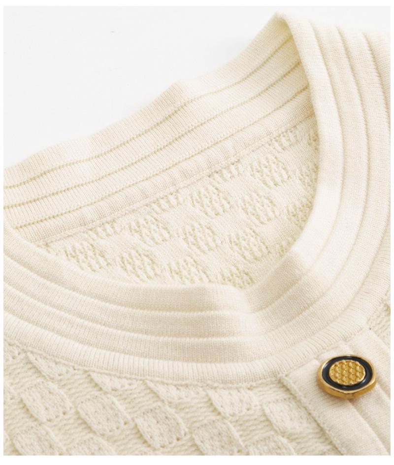 Früher Herbst 2025 Französisches High-End A-Linien Plisseekleid