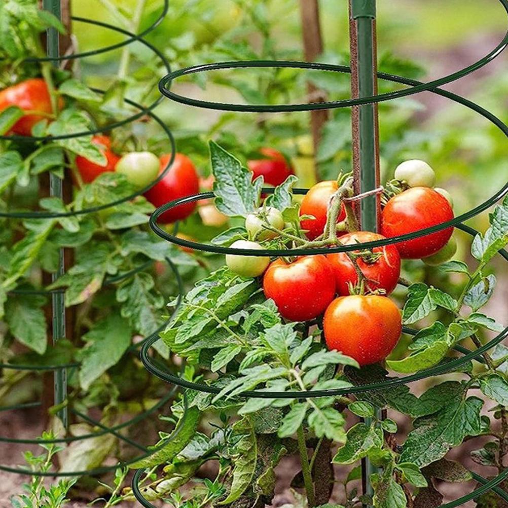 Plant Support Plants Trellis for Climbing Indoor Potted Scaffolding Vine Wrought Iron Plastic Garden Supports