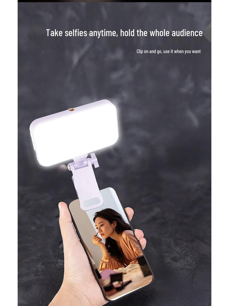 N13 Doppelseitiges Mini-Handheld-Selfie-Licht mit dreifarbigen Fülloptionen