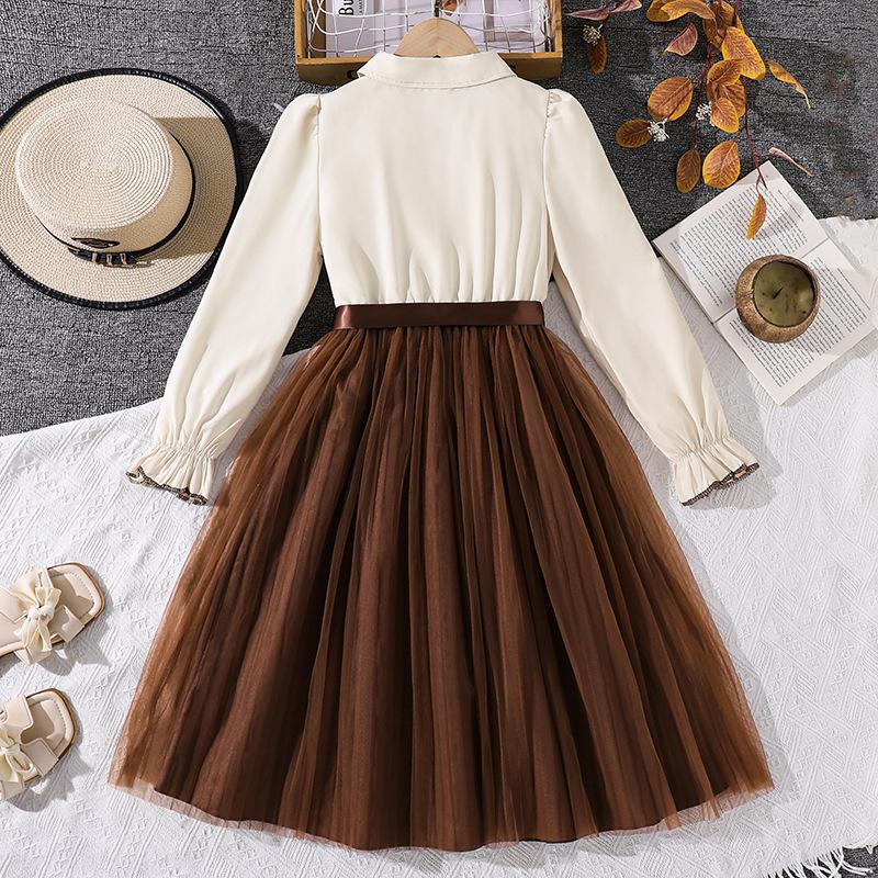 Girls' Fashion Dress: Fall Children's Retro Long-Sleeve Tulle Princess Dress