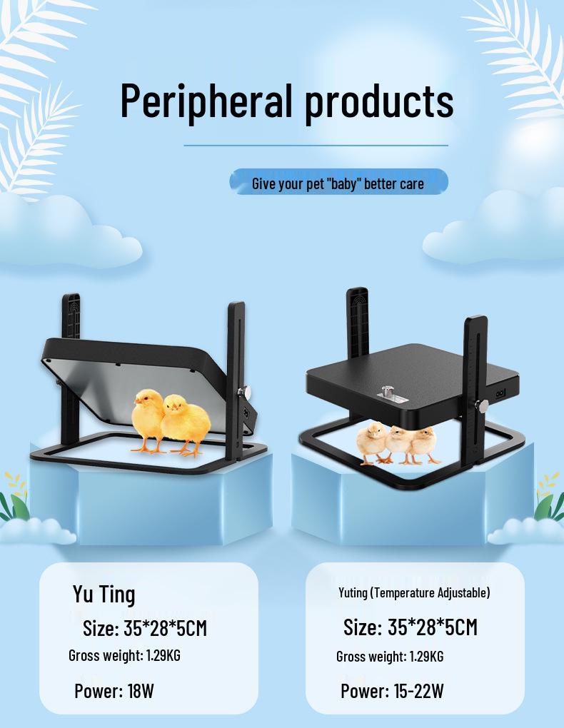 Smart Mini Egg Incubator for Parrots and Budgies: Automatic Pet Hatchery Equipment