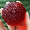 Realistic Food Shape Squeeze Toys Soft Non-Toxic Stress Reducing Fidget Toys for Office Workers Pressure Relief
