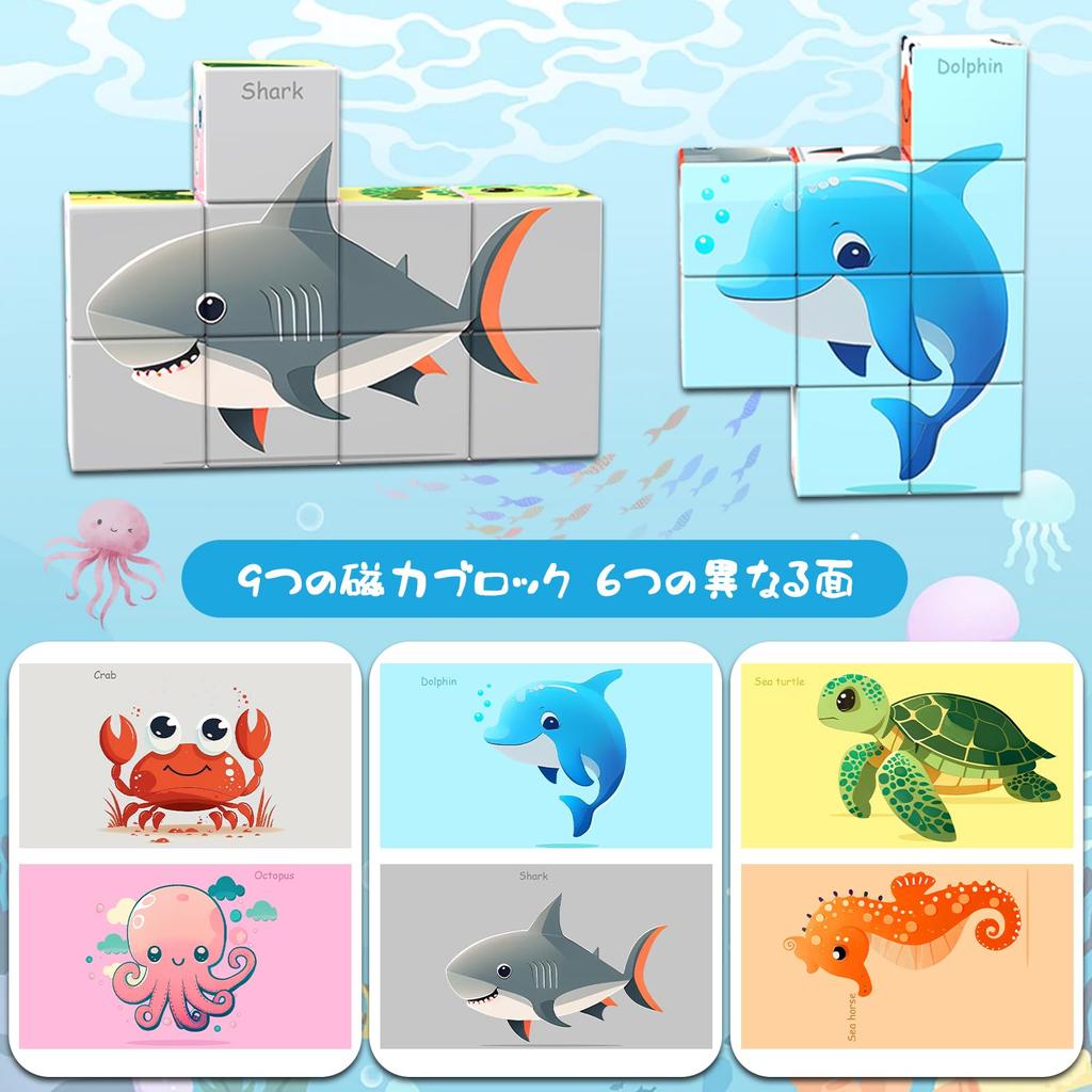 AOMACO Magnetic Block 3D Puzzle, 6 Themes, 6-Sided Puzzle, Nine Palace Pattern, Magnetic Blocks, 9-Piece Set, Educational Toy, 3D Puzzle, Magnetic