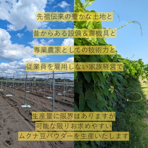 Roasted, powdered Japanese Mucuna beans (100g). Made with 100% Mucuna beans grown in Tochigi Prefecture by a dedicated farmer with over 200 years of e