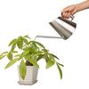 IMEEA Stainless Steel Watering Can, 900ml, for Indoor Gardening and Plant Use, Silver