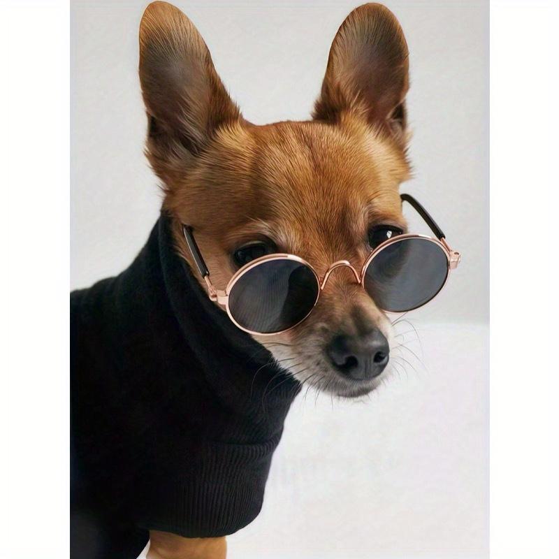 Pet Sunglasses + Anti-Slip Strap Set, Fashionable & Creative Pet Accessories, Multi-Color Universal Pet Glasses, Pet Holiday & Birthday Costume
