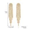 Orecchini di Lusso Europei e Americani con Nappe: Design Invernale Lungo con Zirconi e Strass
