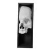 Yousheng Halloween Skull Bookend Bookshelves Decoration Spooky Gothic Skull Figurine Home Office Desktop Book Stopper Ornament