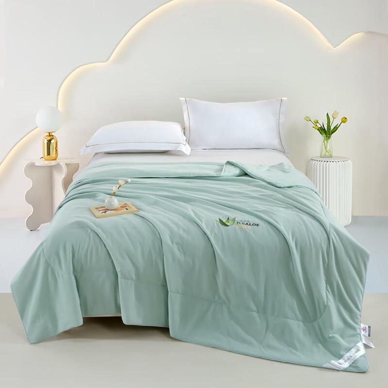 

Jeliya Waffle Ice Cool Aloe Vera Summer Quilt