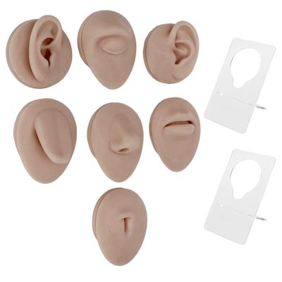 Silicone Piercing Body Model Soft Silicone Ear Mouth Nose Eye Tongue Navel Model with Display Rack