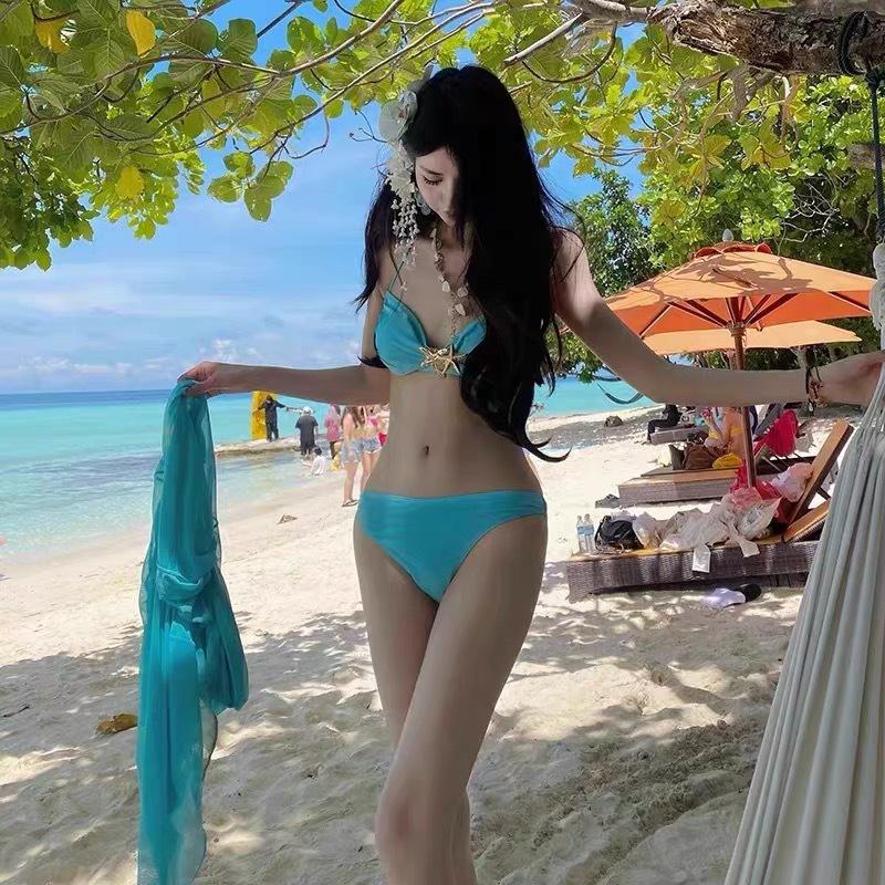 Mesh Dress Bikini Sexy Split Swimsuit Women's Small Breasts Gather Vacation Beach Fashion Sexy Swimsuit