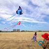 Kite, Butterfly Kite, Single Kite, Kite for Children, Adults and Beginners, Paper Kite, Kite Flying, Flies in Light Breeze