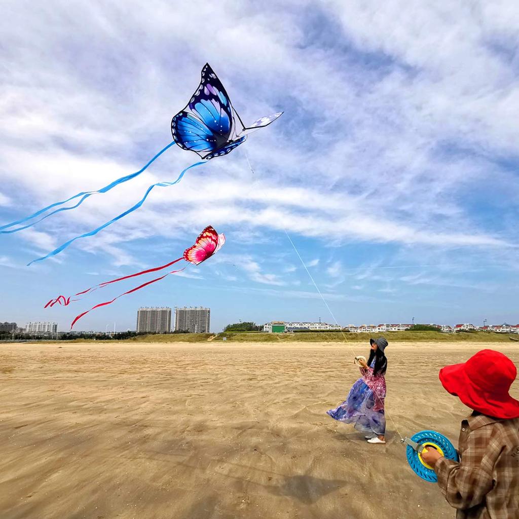 Kite, Butterfly Kite, Single Kite, Kite for Children, Adults and Beginners, Paper Kite, Kite Flying, Flies in Light Breeze