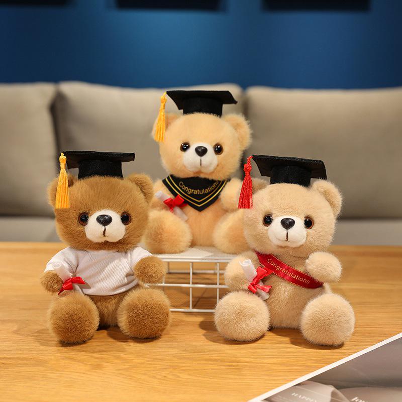 Graduation Gift Bear for Students: Doctoral, Master's, University, Kindergarten