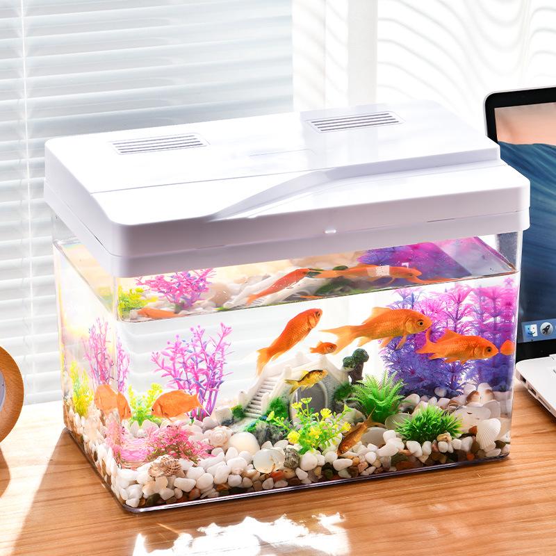 Gjennomsiktig Fallsikker Akvarium: Rundt/Firkantet Design for Hjem & Kontor, Egnet for Skilpadder & Medium Fisk.