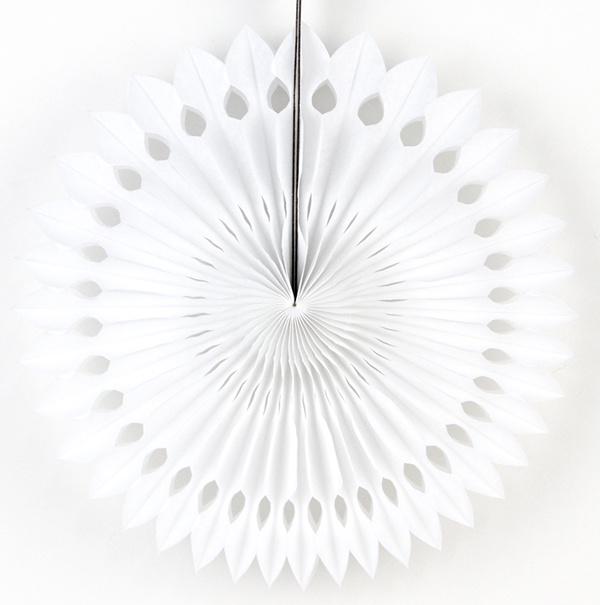 5pcs 25cm Tissue Paper Cut-out Paper Fans Pinwheels Hanging Flower Paper Crafts for Showers