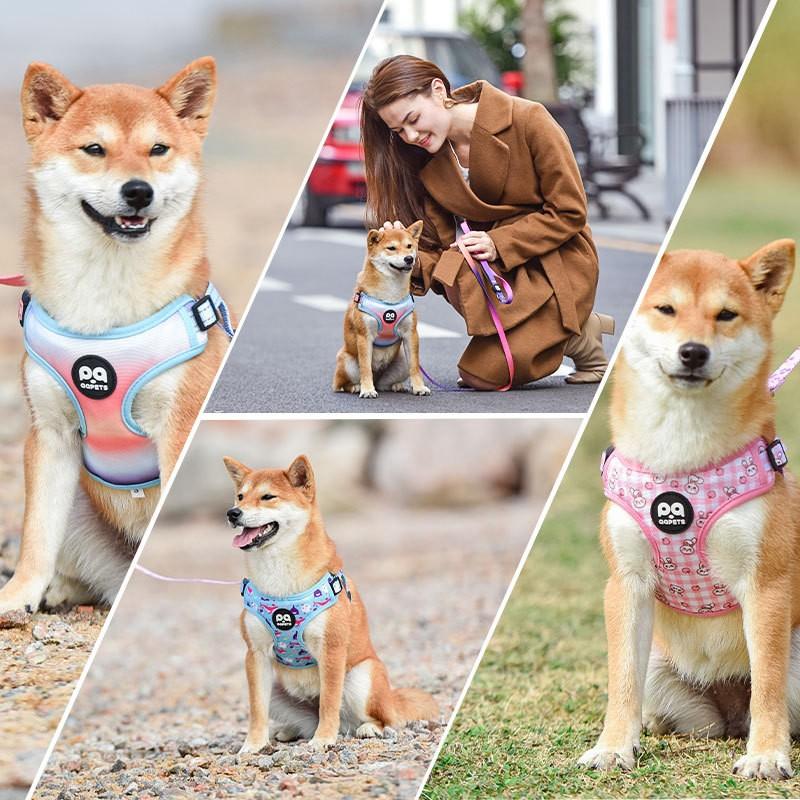 Pet Chest Harness Gradient Dog Leash Vest-style Dog Walking Rope Small and Medium-Sized Dog Harness