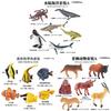 Marine Animal Model Set Plastic Realistic Ocean Creatures For Collectors And Kids